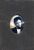 Arnold Nelson Arnold Nelson